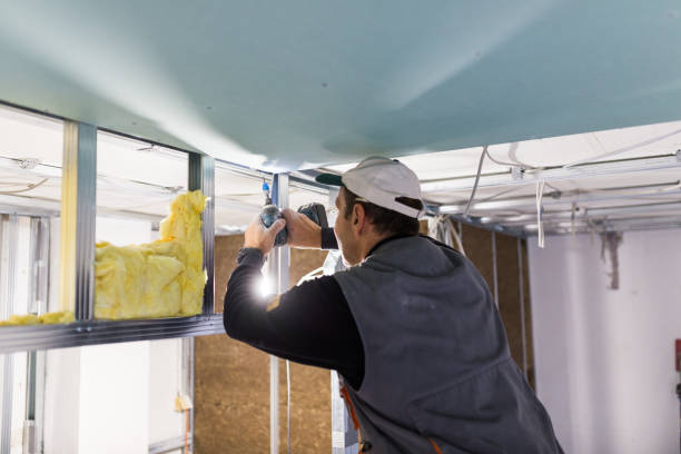 Best Residential Insulation in Safford, AZ