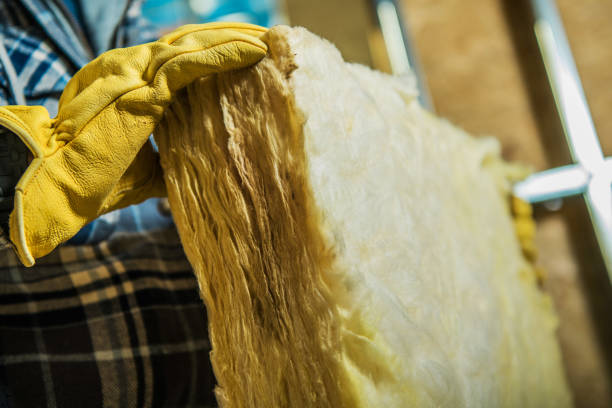 Best Commercial Insulation in Safford, AZ
