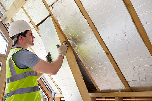 Best Commercial Insulation in Safford, AZ